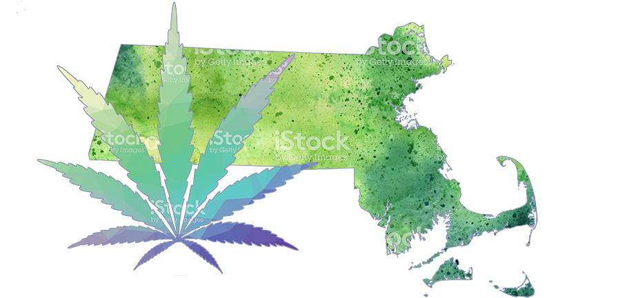 Western Mass Pot Shops